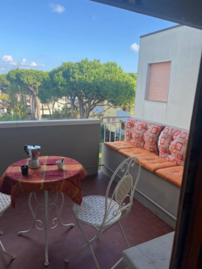 Grande e luminoso appartamento Lido Di Classe